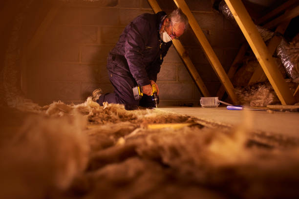 Best Types of Insulation in Fort Atkinson, WI